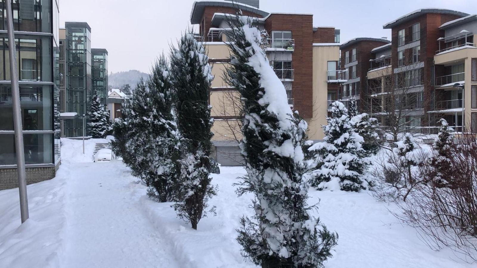 Apartament Z Widokiem Na Czantorie W Zeta Park Ustron Extérieur photo